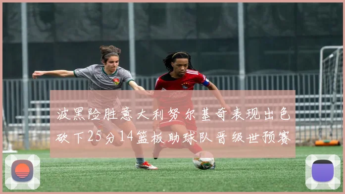 波黑险胜意大利努尔基奇表现出色砍下25分14篮板助球队晋级世预赛