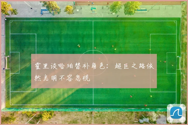 霍里谈哈珀替补角色：超巨之路依然光明不容忽视